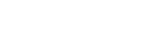 Nataly Stuart Logo