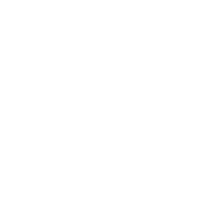 ALBA Palm Beach logo